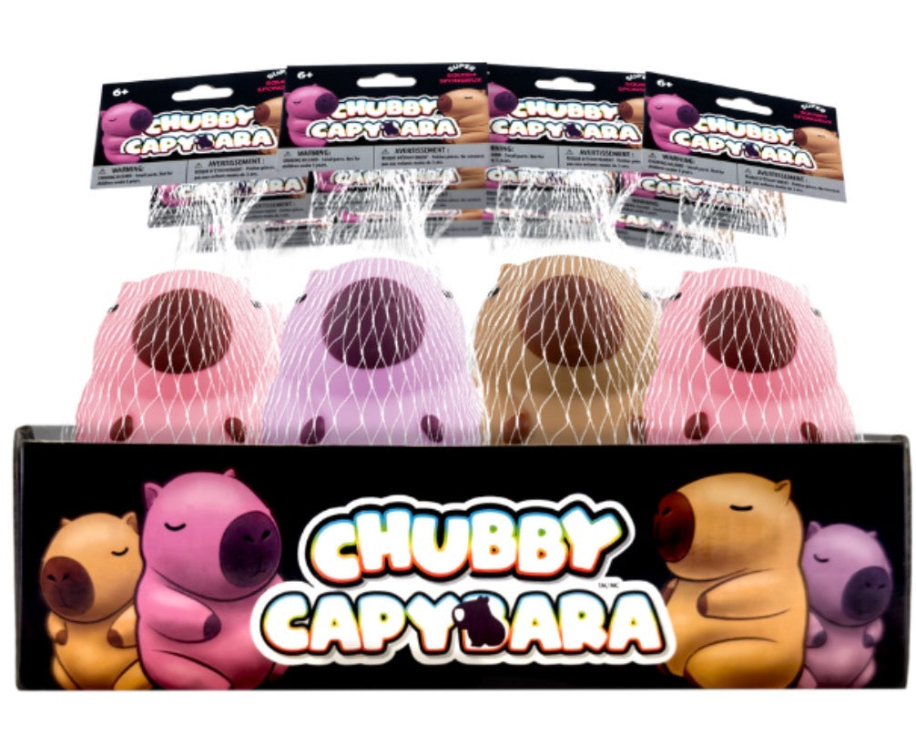 Chubby Capybara Squishy