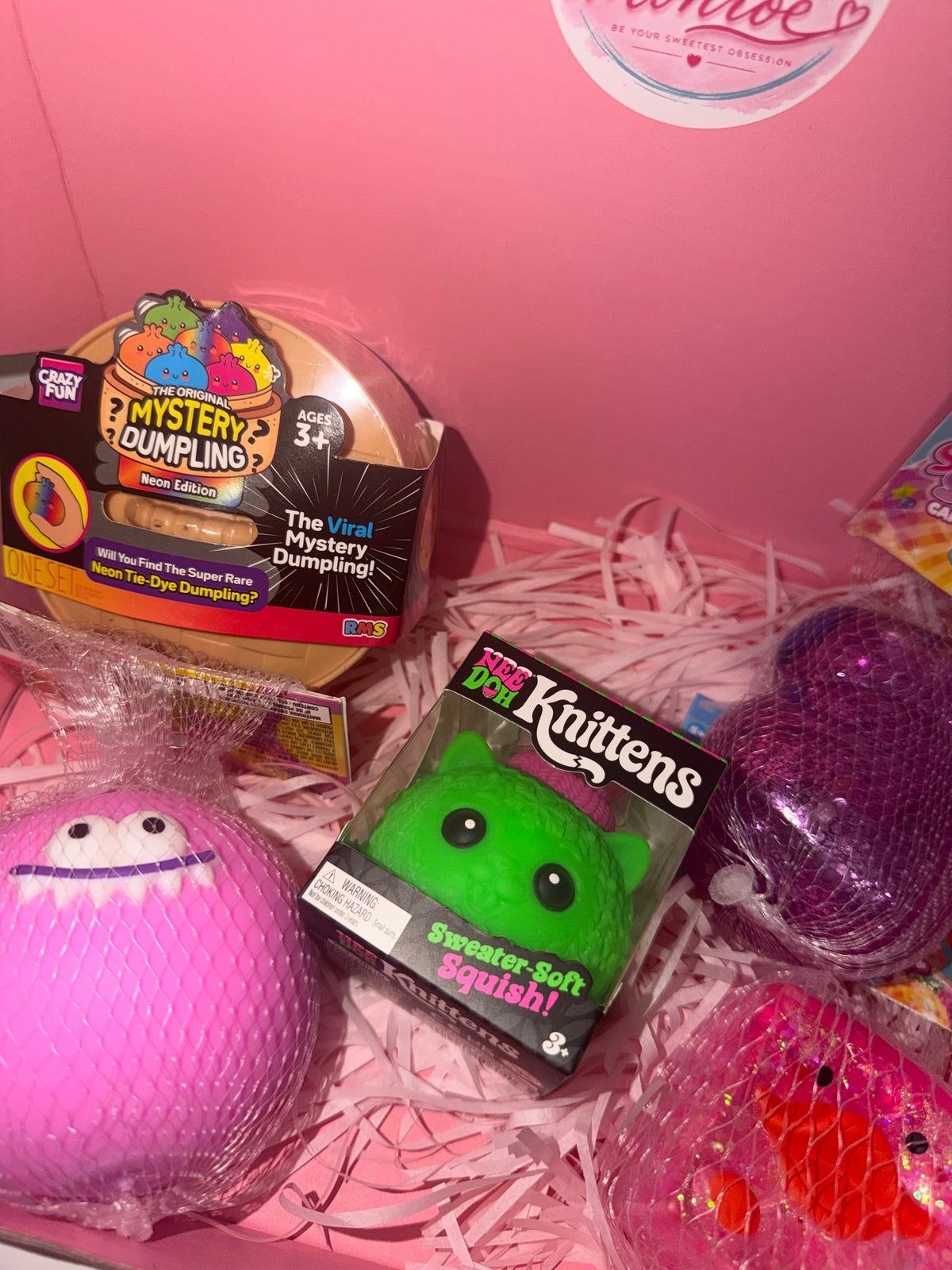 ORB x Authentic Nee Doh (KNITTENS) Premium Squish Box