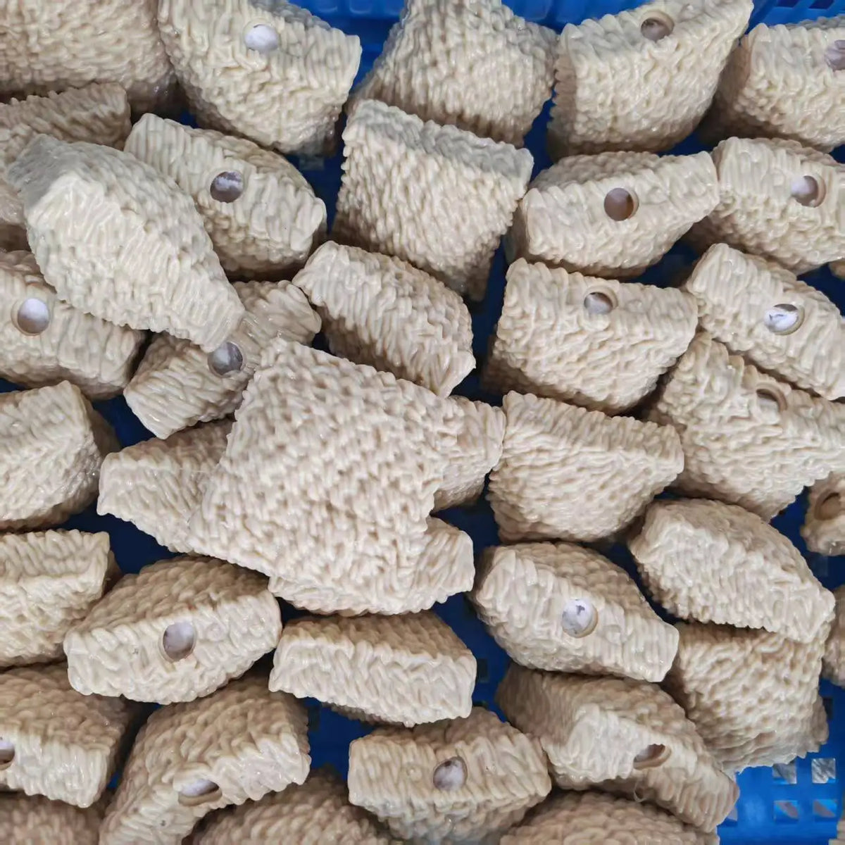 Crunchy Instant Noodle and Cute Dog Handmade Squishy